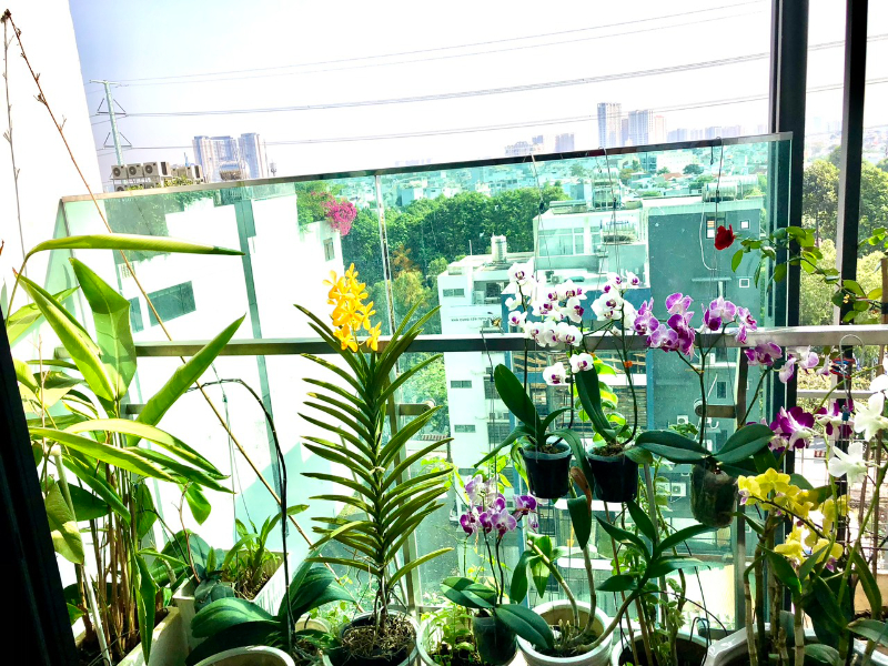 Cho Thuê Căn Hộ 1PN Feliz En Vista FEV1458 - ảnh nhỏ 3