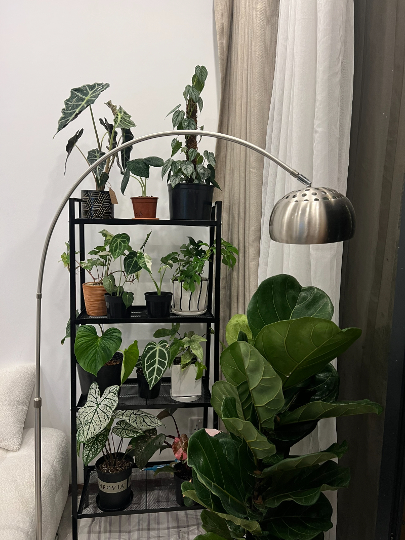 Bán Căn Hộ 2PN One Verandah OV832 - ảnh nhỏ 11