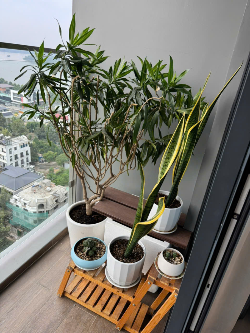 Cho Thuê Căn Hộ 1PN One Verandah OV1080 - ảnh nhỏ 5