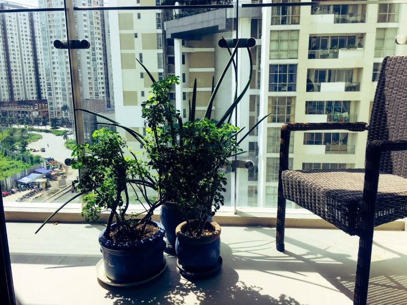 Cho Thuê Căn Hộ 1PN Estella Heights EH67 - ảnh nhỏ 3