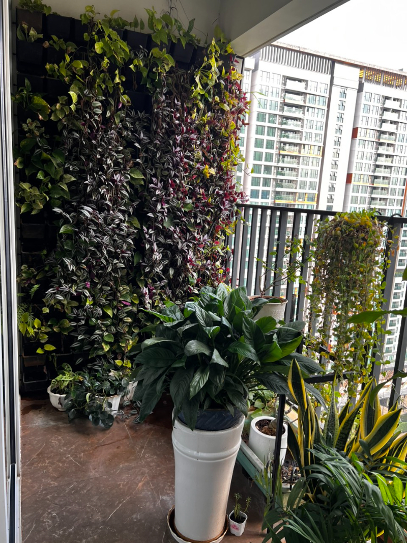 Bán Căn Hộ 4PN Vista Verde VV129 - ảnh nhỏ 6