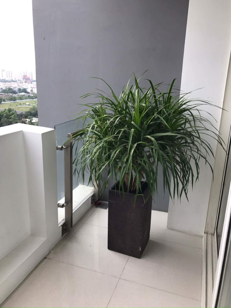 Cho Thuê Căn Hộ 2PN The Estella TE1276 - ảnh nhỏ 5