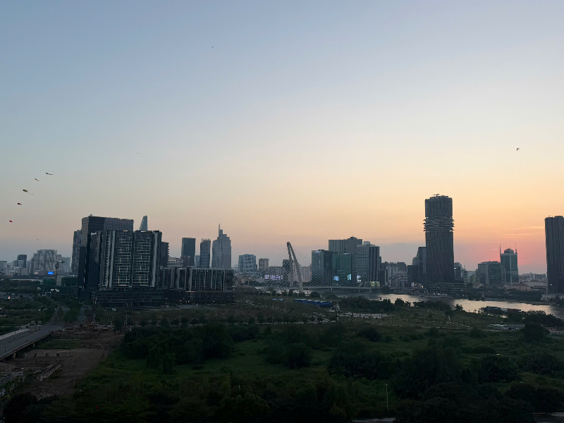 Bán Penthouse 4PN The River Thủ Thiêm TR651 - ảnh nhỏ 19
