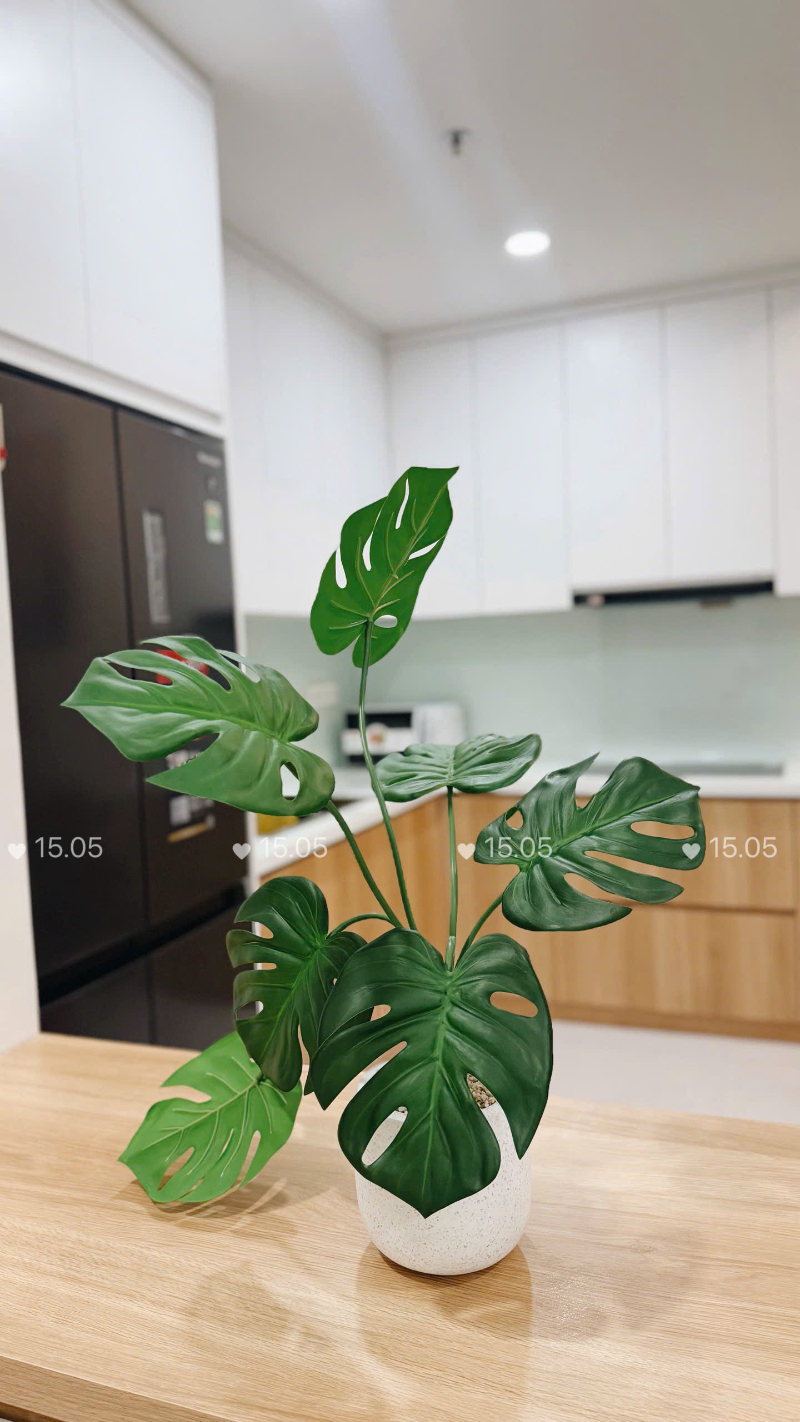 Cho Thuê Căn Hộ 2PN VICTORIA VILLAGE VTV1287 - ảnh nhỏ 14