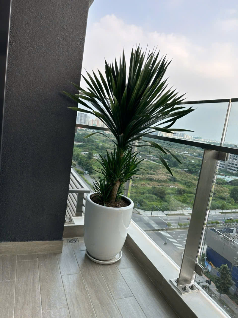 Bán Căn Hộ 2PN The River Thủ Thiêm TR803 - ảnh nhỏ 2